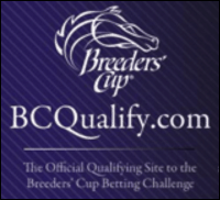 BCQualify.com